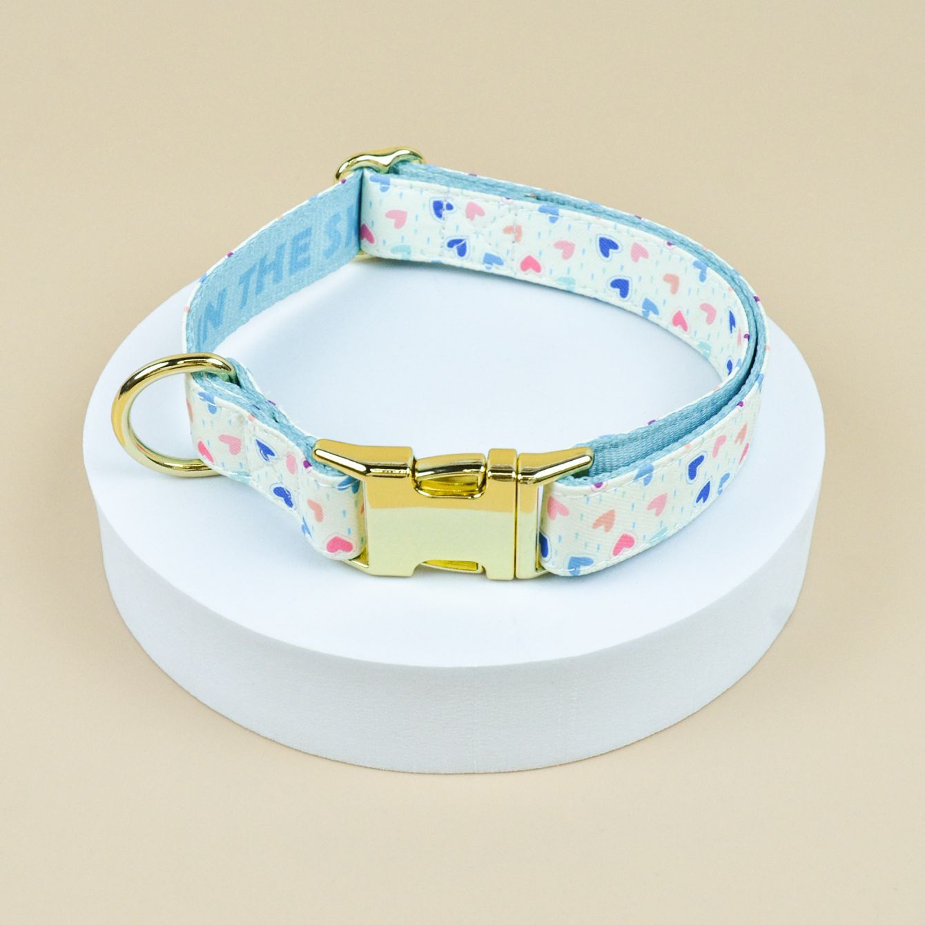 Collar Clásico Ajustable para Perros Pequeños