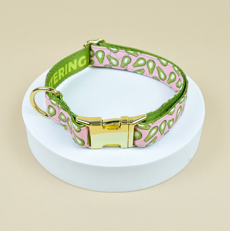 Collar 6