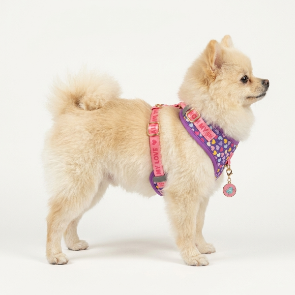 Arnés Antitirones para Perros Pequeños — Ajustable, Acolchado y con Placa 2