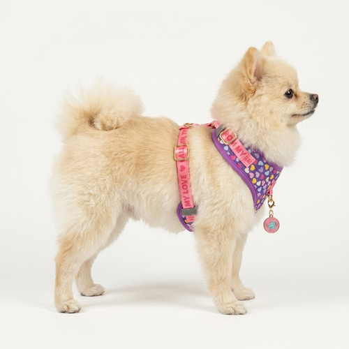 Arnés Antitirones para Perros Pequeños — Ajustable, Acolchado y con Placa