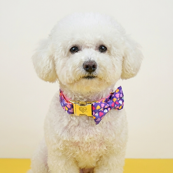 Collar con Pajarita Ajustable