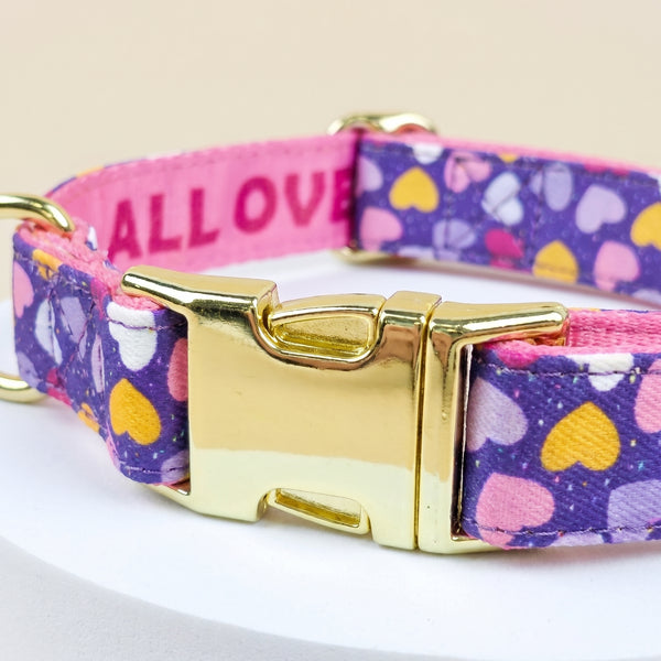 Collar Clásico Ajustable para Perros Pequeños