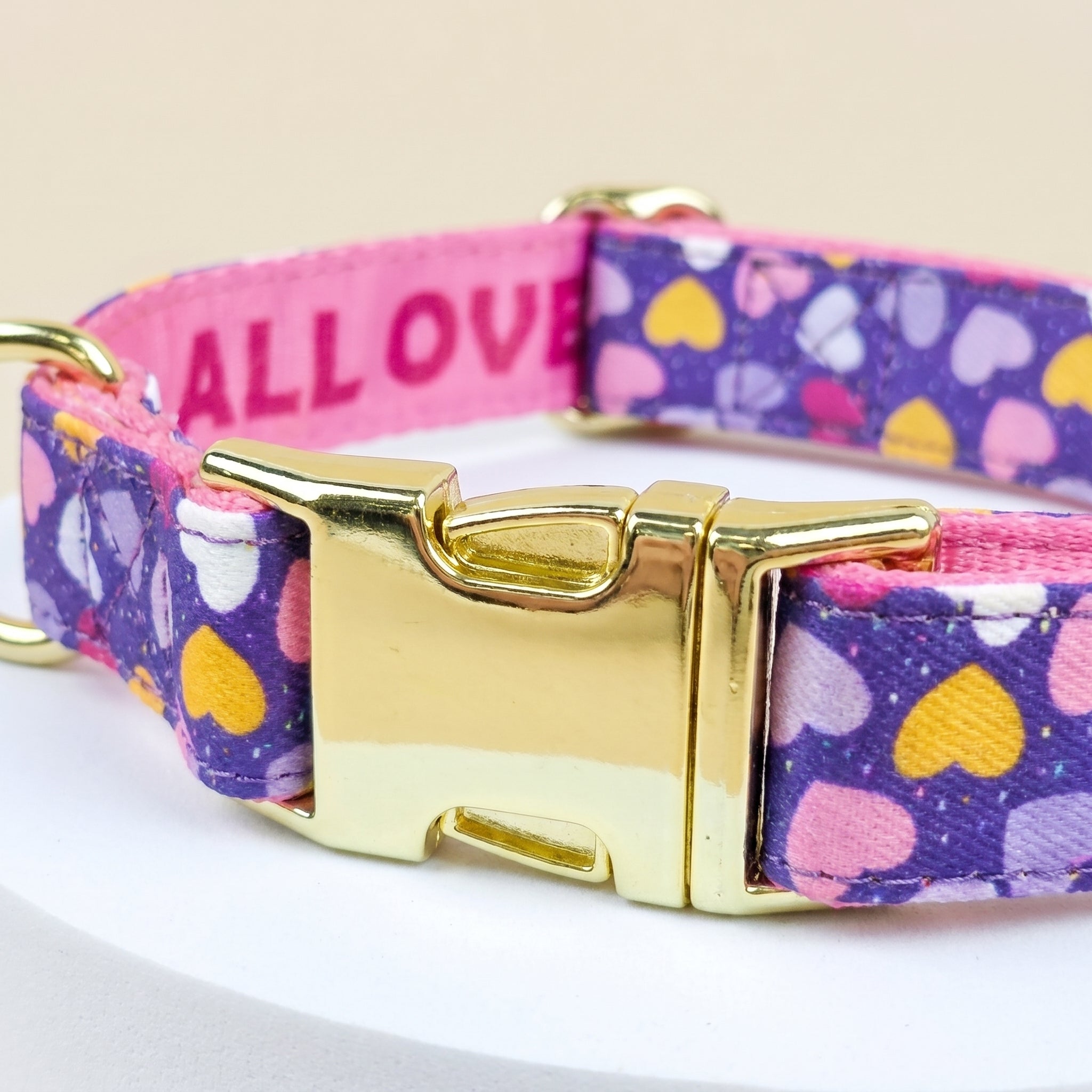 Collar Clásico Ajustable para Perros Pequeños