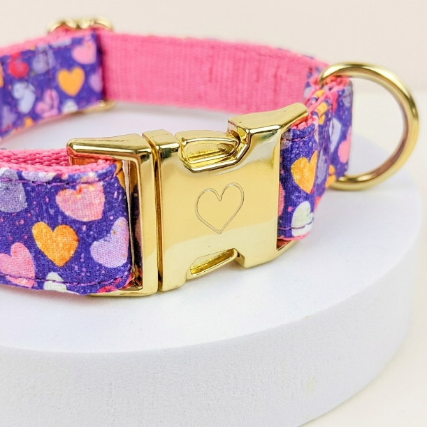Collar con Pajarita Ajustable 2