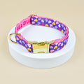 Collar 1